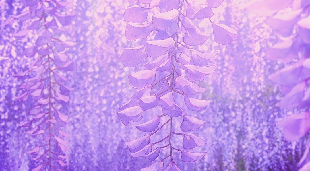 Lavender Dreams